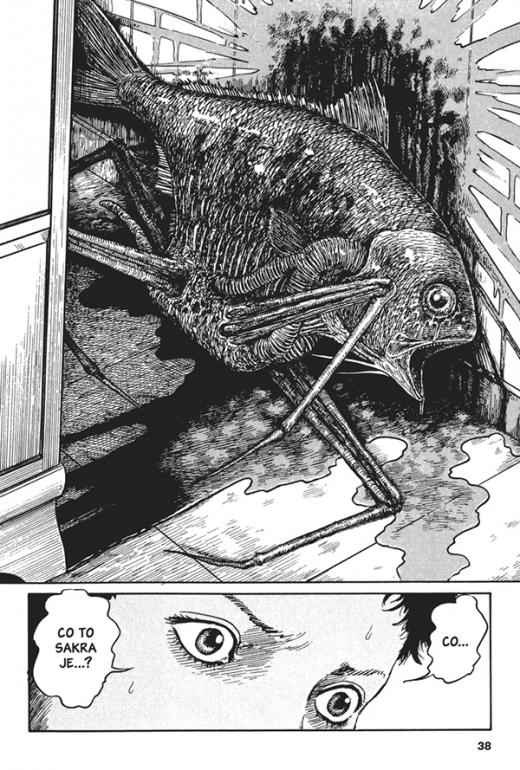 Ukázka komiksu Ukázka komiksu